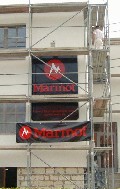 Marmot Schild